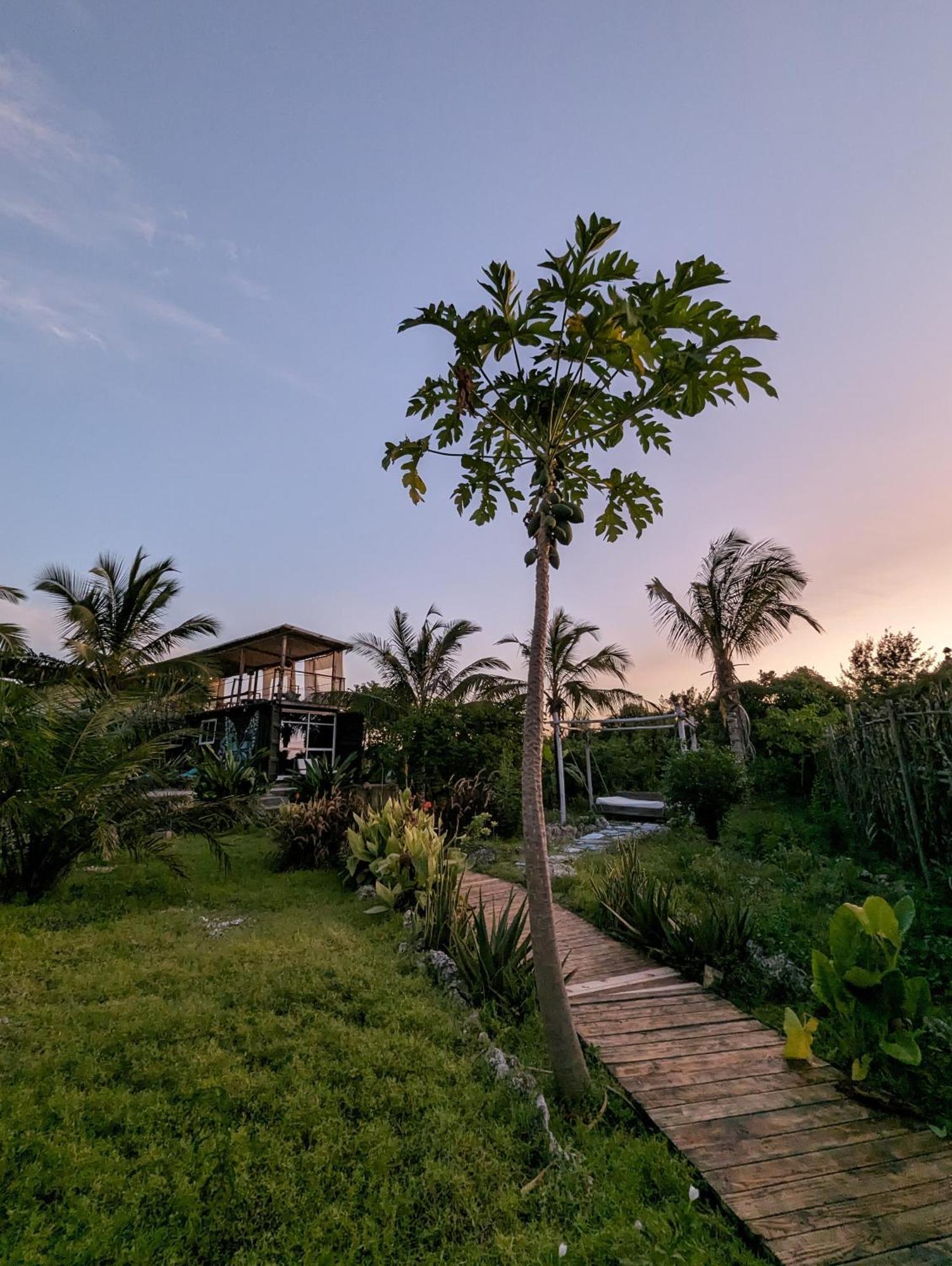 Jambiani Backpackers Hostel ภายนอก รูปภาพ
