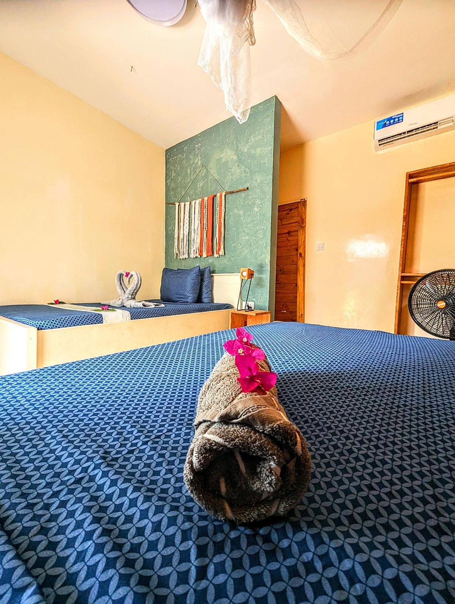 Jambiani Backpackers Hostel ห้อง รูปภาพ